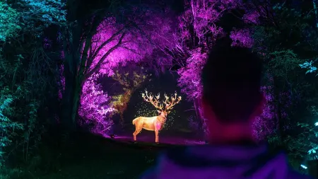 Beyond Lightshow