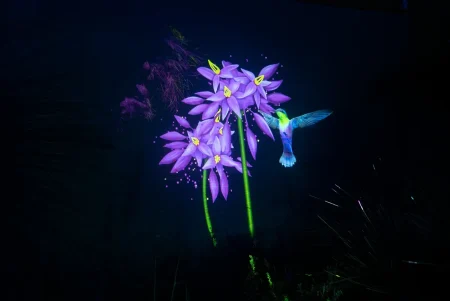 Beyond Lightshow