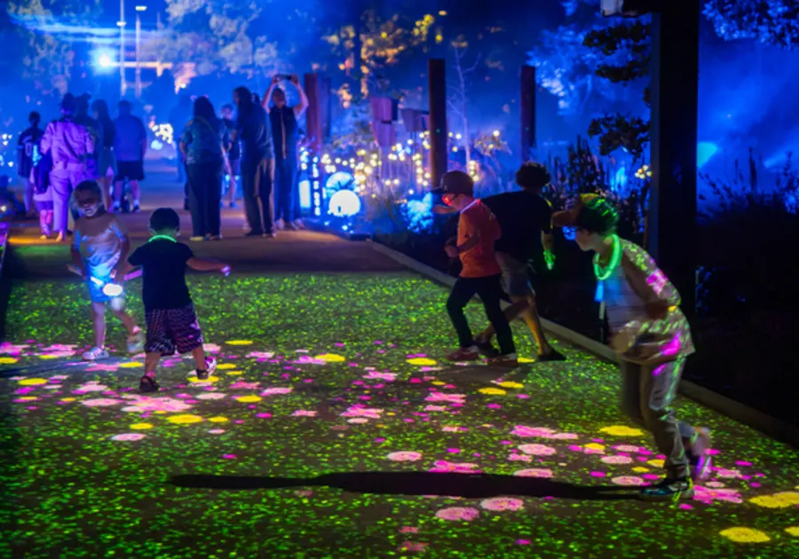 LARGE GROUPS AND BIRTHDAY PARTIES