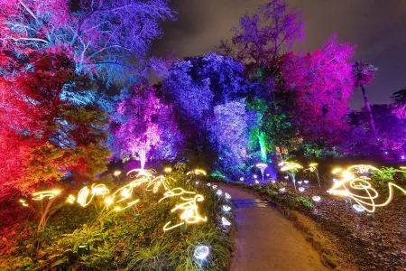 Beyond Lightshow